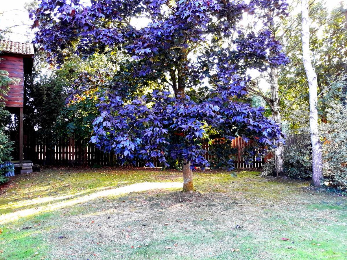 Country Home Tara Rathfeigh Exterior photo